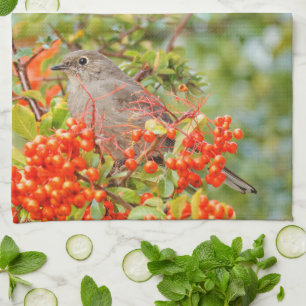 Townsend's Solitaire Songbird on Pyracantha Kökshandduk