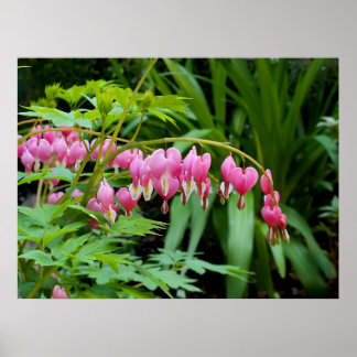 Toxiska hjärtan poster