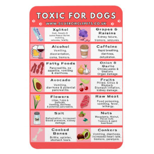 Toxiskt Mat för Hundar Fridge Magnet