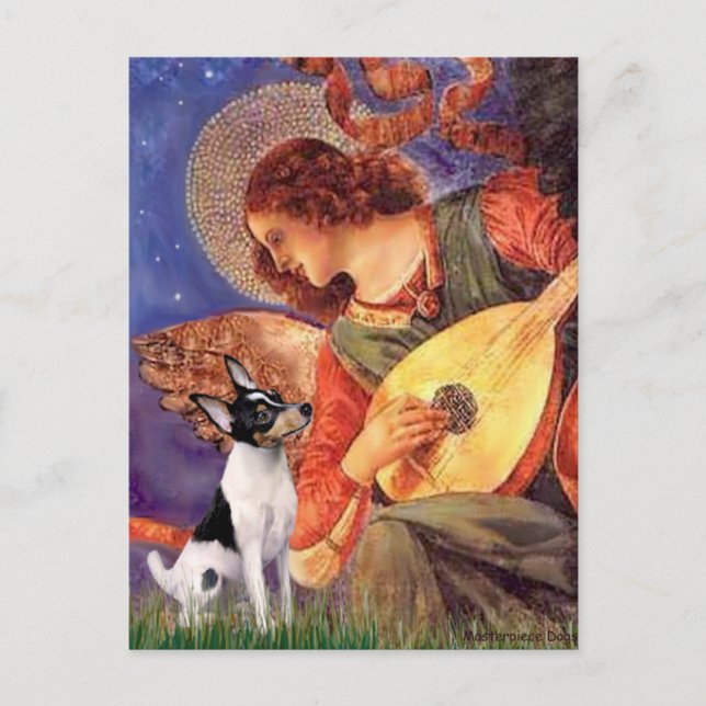 Toy Fox Terrier - Mandolinängel Vykort (Framsida)