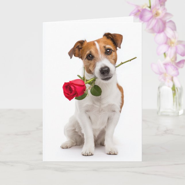 Toy Fox Terrier Valentine Kort (Orkide)