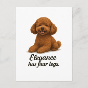 Toy Poodle � Elegans Har Fyra Ben Vykort
