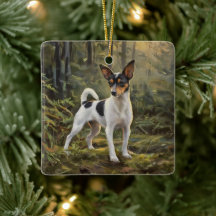 Toylexterrier