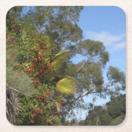 Toyons längs Arroyo Seco Trail Underlägg Papper Kvadrat