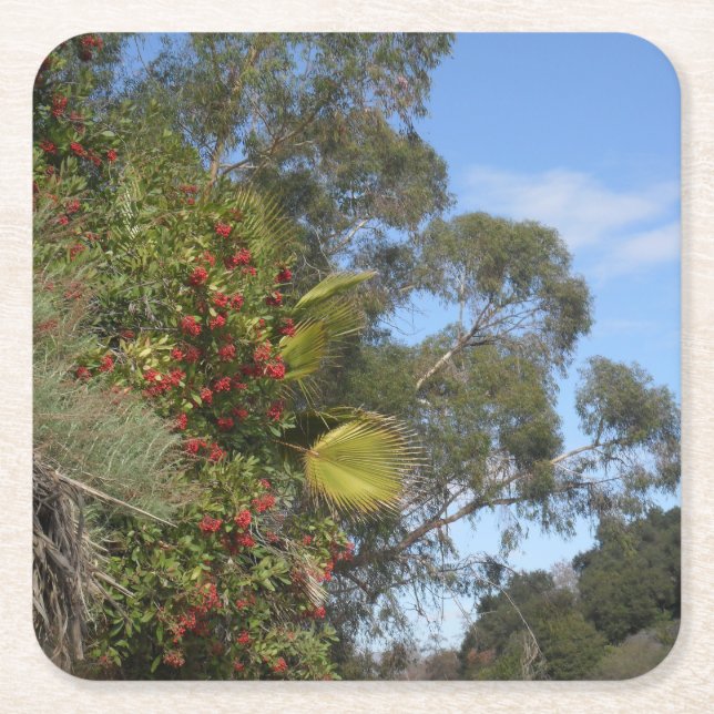 Toyons längs Arroyo Seco Trail Underlägg Papper Kvadrat (Framsidan)