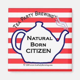 TP0110 Natural Born Citizen Magnet