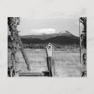 TR Bluebird House Vykort