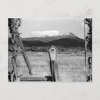 TR Bluebird House Vykort