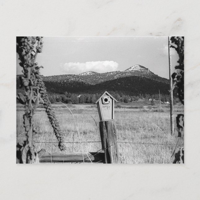 TR Bluebird House Vykort (Framsida)