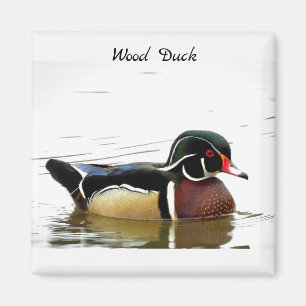 Trä Anka (lergods) Magnet