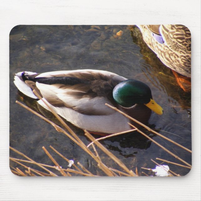 Trä Anka Mouse Pad Musmatta (Framsidan)