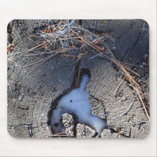 Trä Art 2 Mousepads Musmatta
