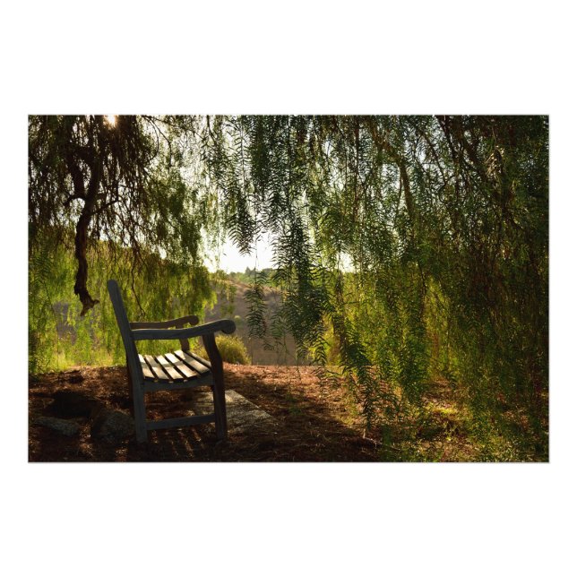 Trä Bench [24x20] Photo Print Fototryck (Framsidan)