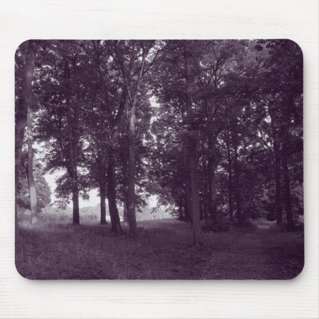 Trä, Bute Park Cardiff - Lila toned BW Musmatta (Framsidan)
