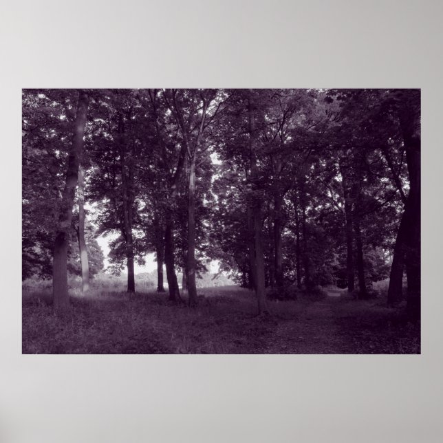 Trä, Bute Park Cardiff - Lila toned BW Poster (Framsidan)