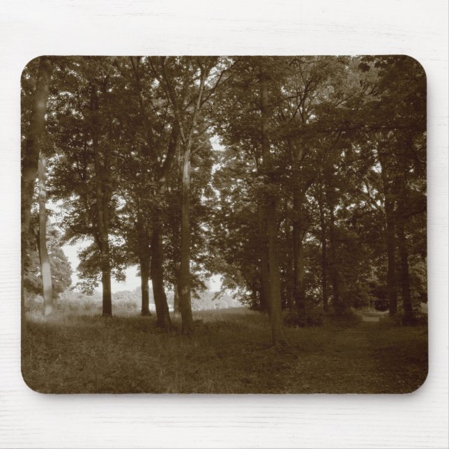 Trä, Bute Park Cardiff - Sepia toned BW Musmatta (Framsidan)