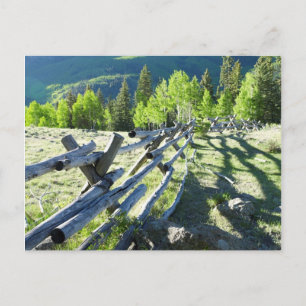 Trä Fenceline Vykort