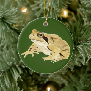 Trä Frog Julgransprydnad Keramik