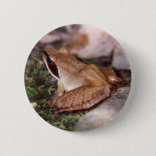 Trä Frog Knapp
