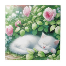 Trä Jewelry Keepsaké Box Kakelplatta