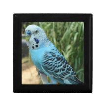 Trä Jewelry Keepsaké Box