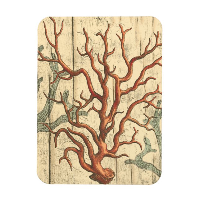 Trä och liten korall magnet (Vertikal)