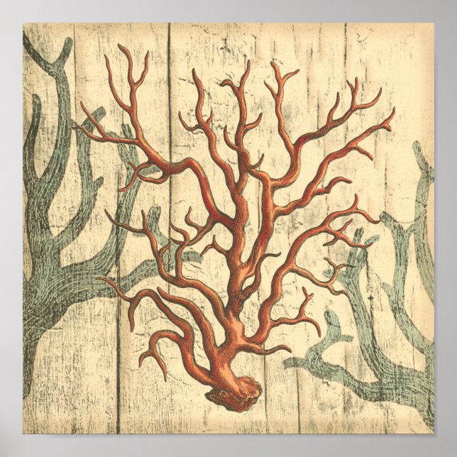Trä och liten korall poster (Framsidan)