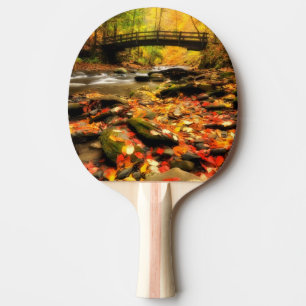 Trä överbrygga och bäck i nedgång pingisracket