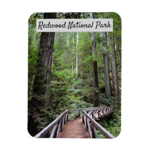 Trä överbrygga och redwoodträdnationalparken f magnet