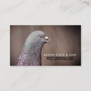 Trä Pigeon, bröstkontroll Visitkort
