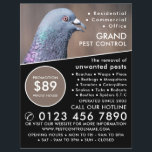 Trä Pigeon, Pest Control Advertising Reklamblad<br><div class="desc">Trä Pigeon,  Pest Control Advertising Flyer av Affärskortet Store.</div>