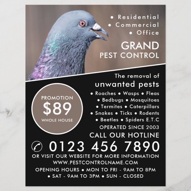 Trä Pigeon, Pest Control Advertising Reklamblad (Framsidan)