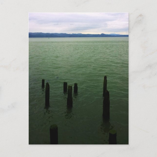 Trä Pilings, Astoria, ELLER Vykort (Framsida)