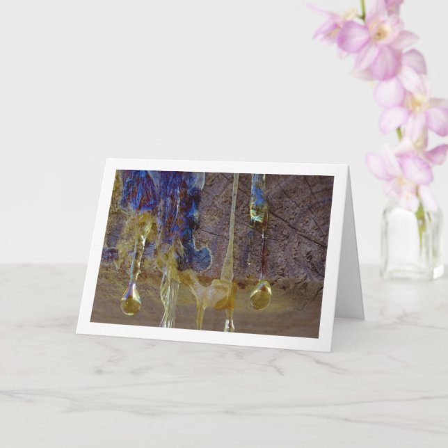 Trä Sap Fluid Kort (Orkide)