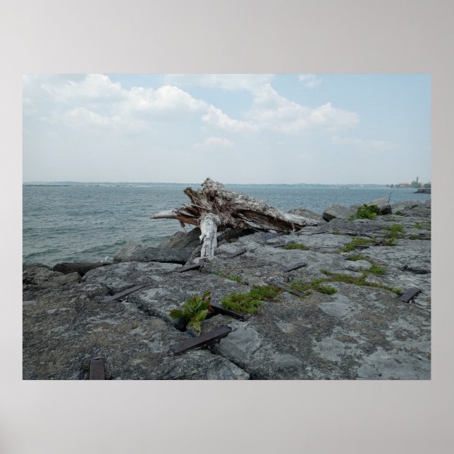 Trä Sjö Monster Sculpture Poster (Framsidan)