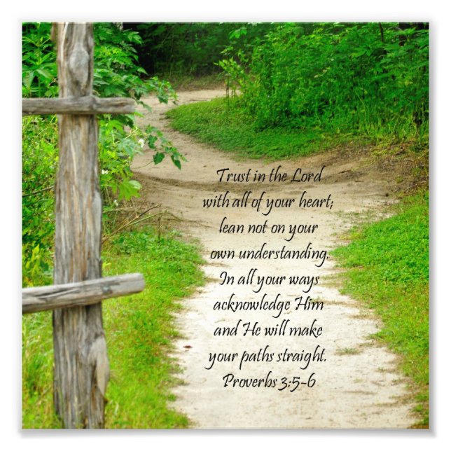 Trä Väg Proverbs 3:5-6 Bible Verse Photo Print Fototryck (Framsidan)