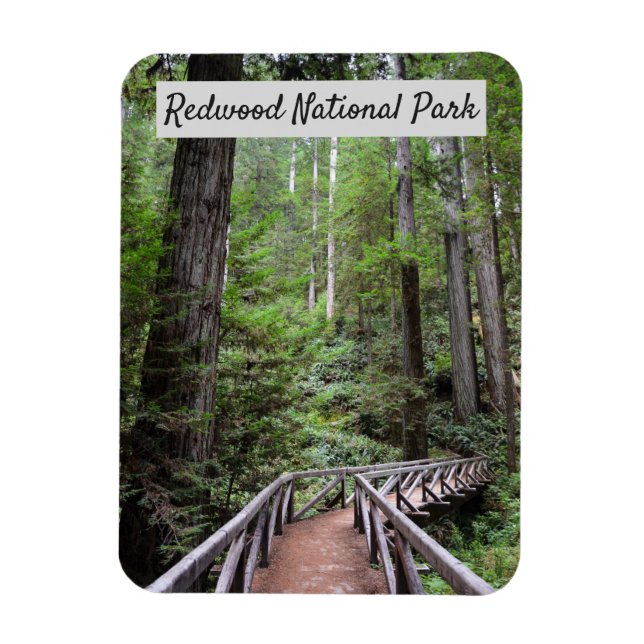 Träbrygga och sequoias | Nationalparken Redwood Magnet (Vertikal)