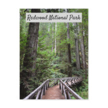 Träbrygga och sequoias | Nationalparken Redwood