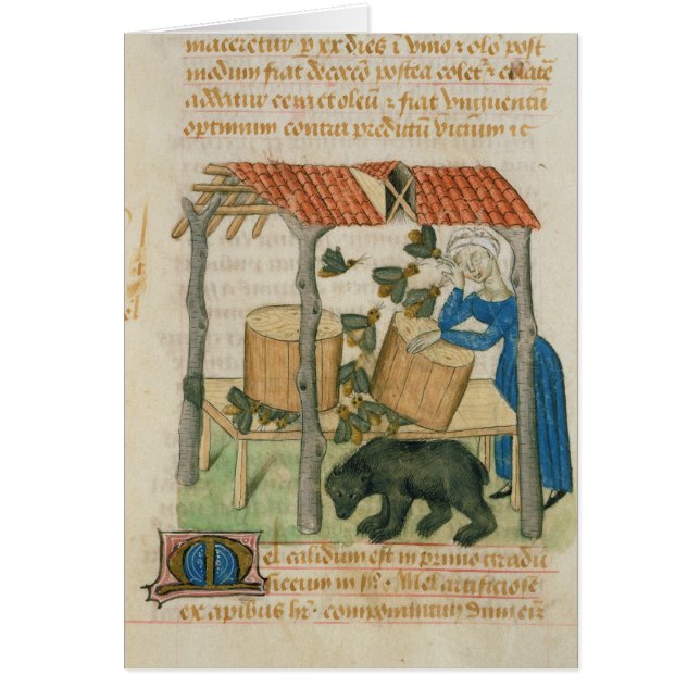 Tractatus de Herbis' Hälsningskort (Framsidan)