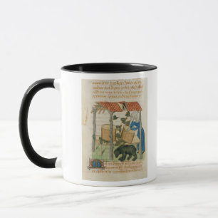 Tractatus de Herbis' Mugg