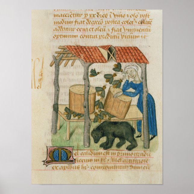 Tractatus de Herbis' Poster (Framsidan)