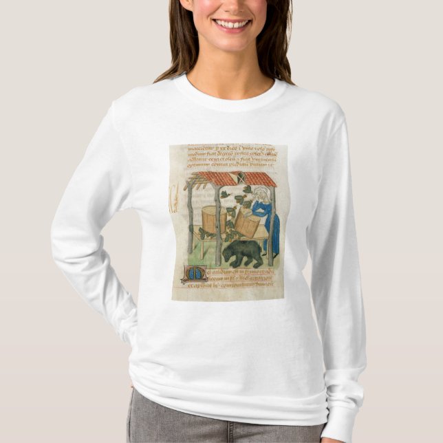 Tractatus de Herbis' Tee (Framsida)