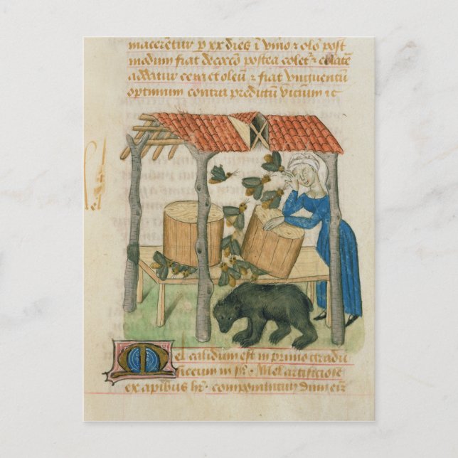 Tractatus de Herbis' Vykort (Framsida)