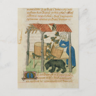 Tractatus de Herbis' Vykort