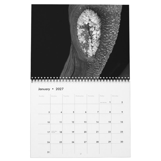 Träd 2010 kalender (Jan 2027)