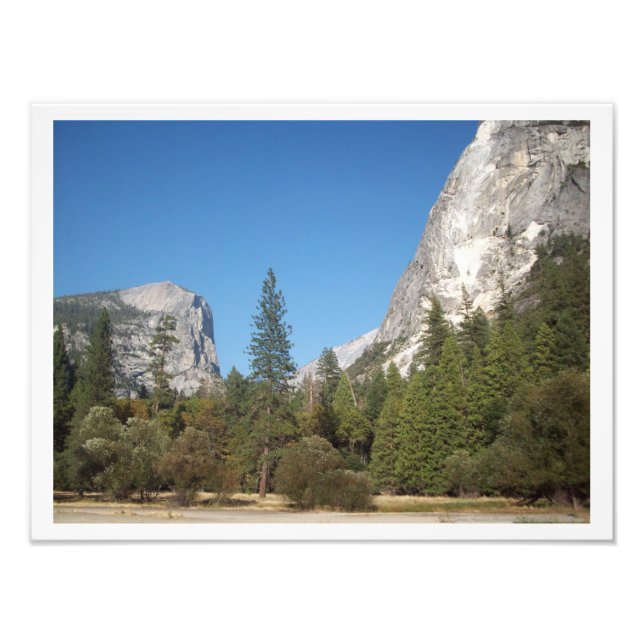 "Träd Amidst Mountains" Yosemite Valley Poster (Framsidan)