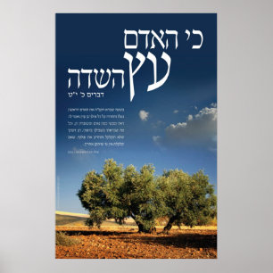 Träd av fält poster