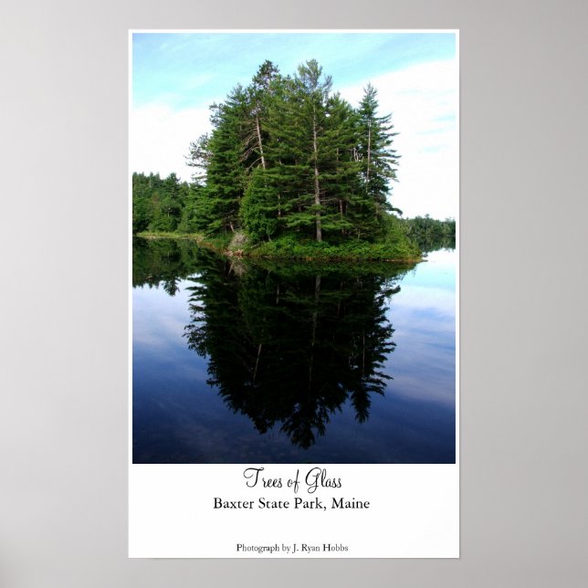 Träd av glas poster (Framsidan)