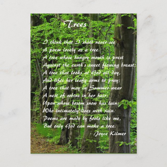 Träd av: Joyce Klimer Vykort (Framsida)