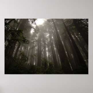 Träd av mysteriet poster